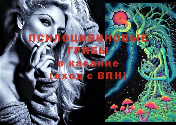 ГАЛЛЮЦИНОГЕННЫЕ ГРИБЫ Балабаново
