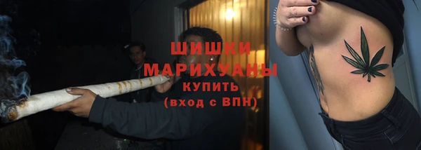 ГАЛЛЮЦИНОГЕННЫЕ ГРИБЫ Балабаново