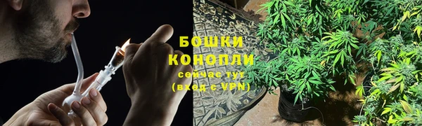 ГАЛЛЮЦИНОГЕННЫЕ ГРИБЫ Балабаново