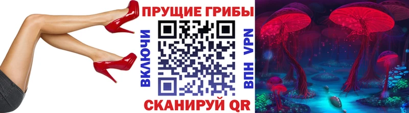 Псилоцибиновые грибы Psilocybe Заозёрск