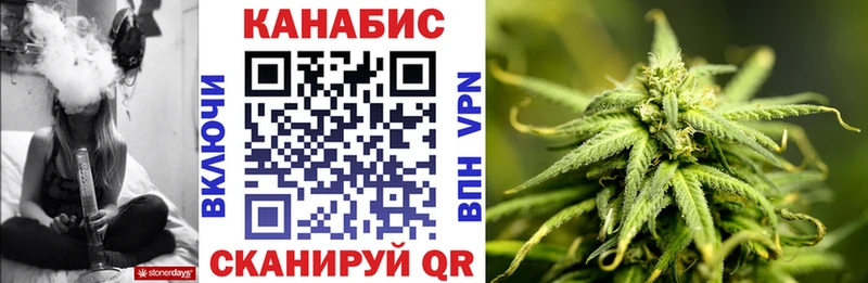 где купить наркоту  Заозёрск  Канабис SATIVA & INDICA 